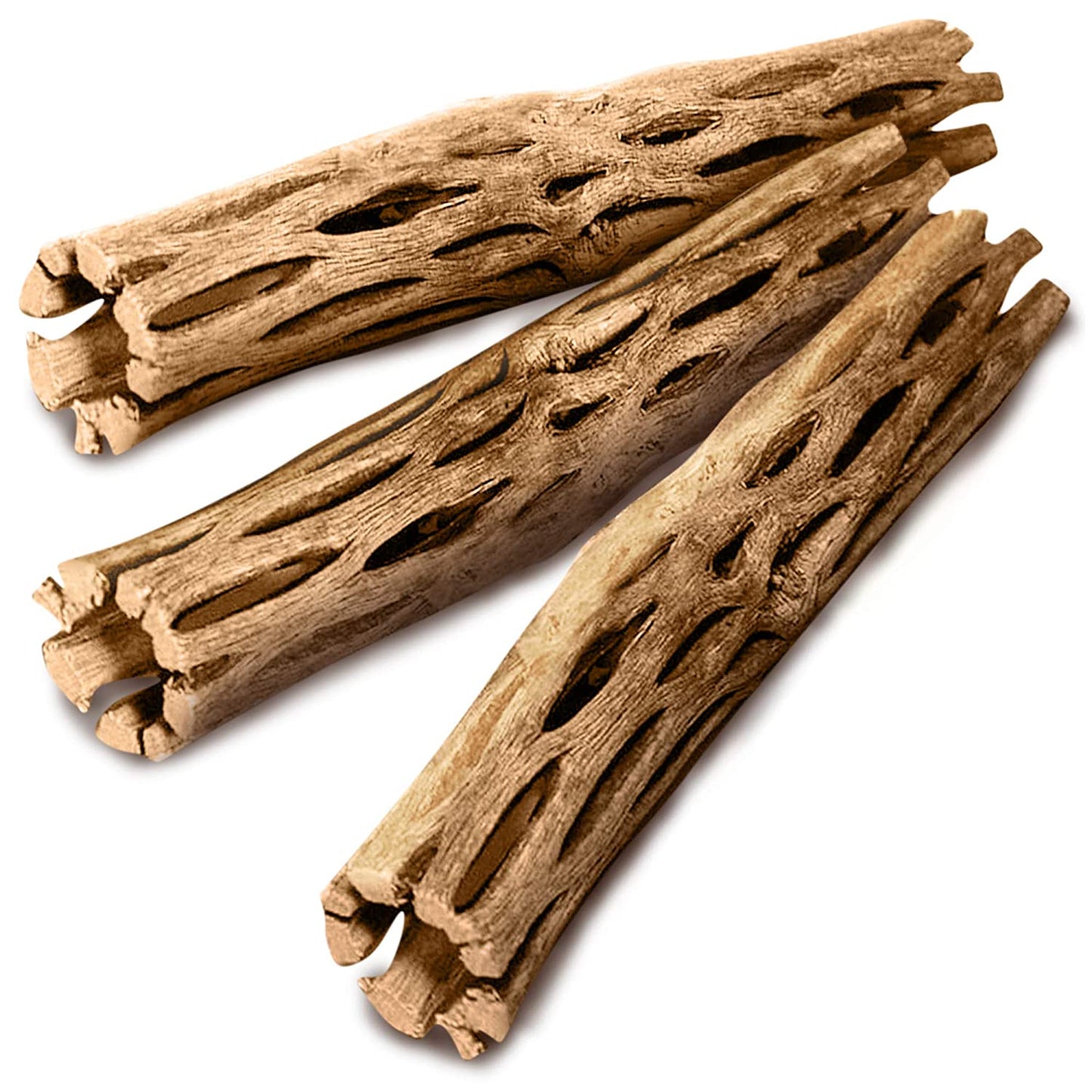 Cholla Wood 6inch - 3pcs