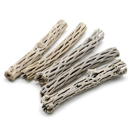 Cholla Wood 6inch - 5pcs